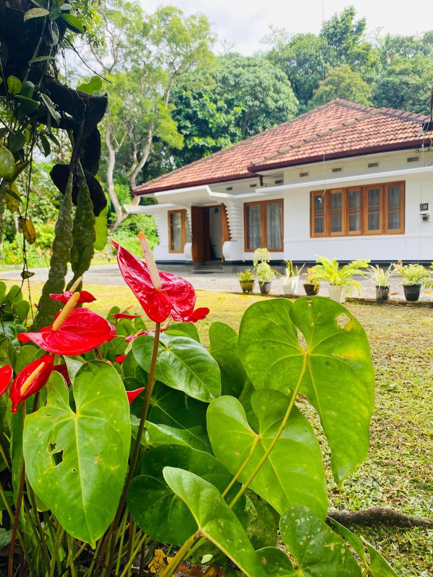 Happy Valley Residence Unawatuna Galle Exteriör bild